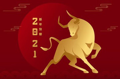 顺动国际传媒全体员工在此祝您新年快乐！